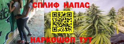 шишки Бузулук