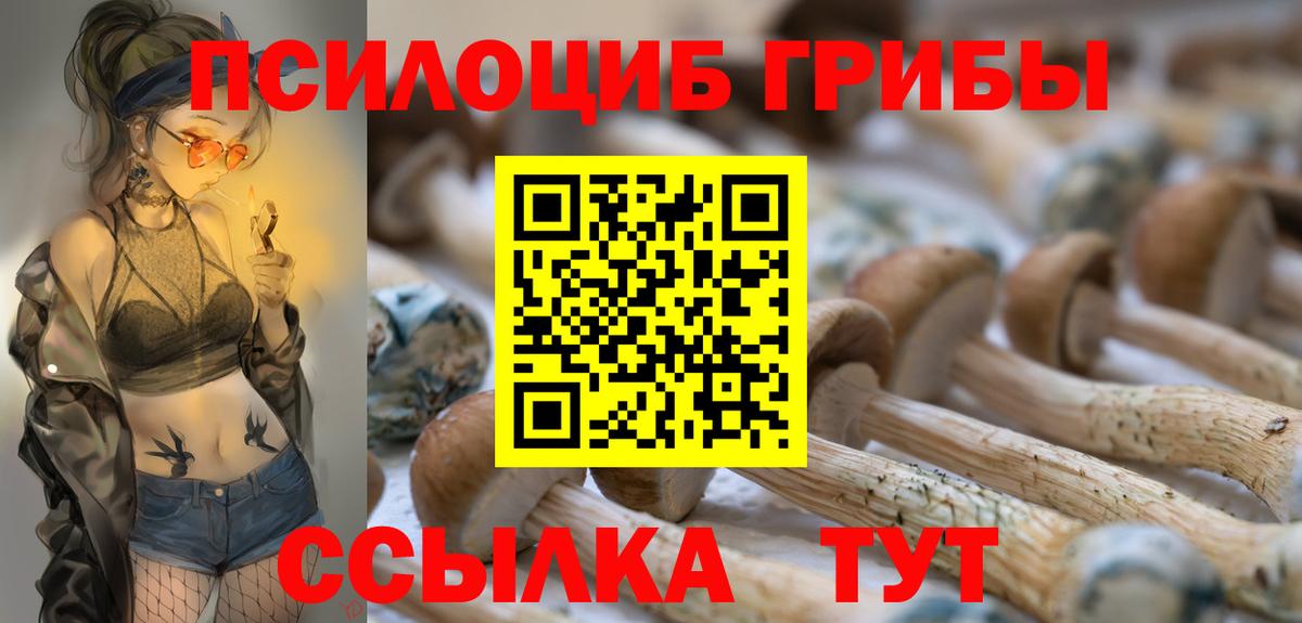 Псилоцибиновые грибы Psilocybine cubensis  Вход с VPN  Урус-Мартан 